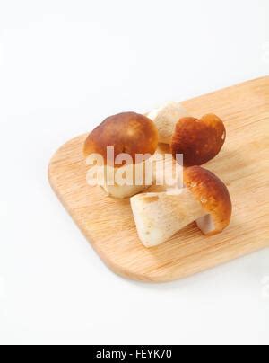 Wild Boletus Mushrooms On The Board Stock Photo Alamy