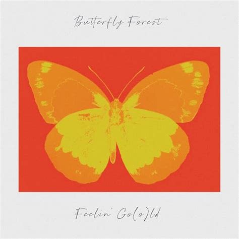 Amazon Music Unlimited Butterfly Forest Feelin Go O Ld