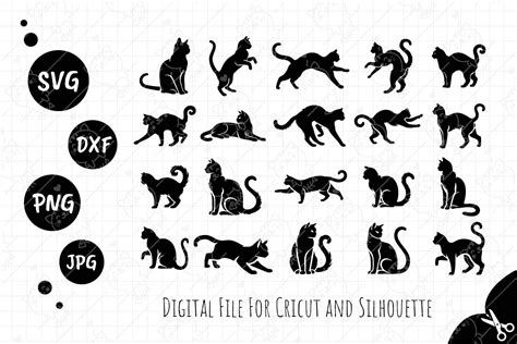 Black Cat Silhouette SVG Collection Graphic By FoxGrafy Creative Fabrica