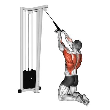 Kneeling Rear Delt Rope Pull Back And Shoulder Workout Rear Delt