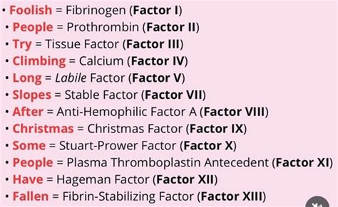 Hemostasis Flashcards Quizlet