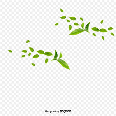 Gambar Rumput Hijau Yang Renyah Png Vektor Psd Dan Clipart Dengan