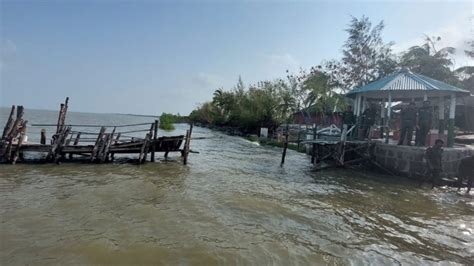 Recovery Challenges In The Sundarbans After Cyclones Sundarbans No