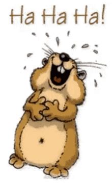 belly laugh gifs tenor