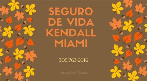 Seguro De Vida Kendall Miami