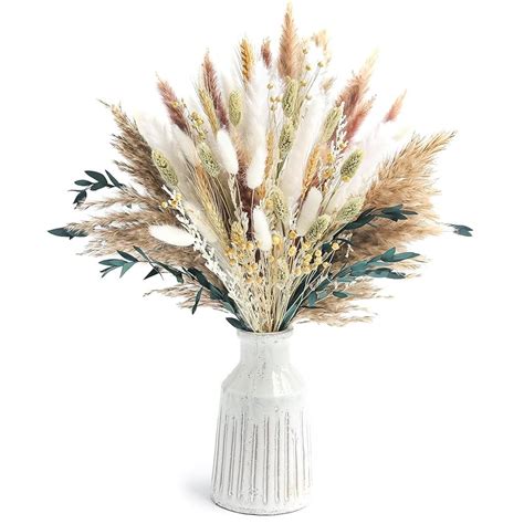 Amazon Pcs Dried Pampas Grass Decorations Dried Flowers Dried