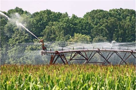 smart irrigation rules  cut water   raise farm profits