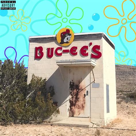 Buc Ees Walmart Single Bikini Bottom Disco Apple Music