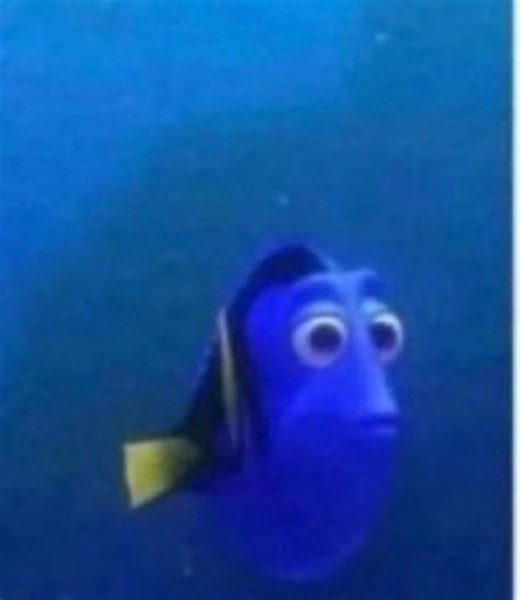 Pin By Melis Akmak On Wall Finding Dory Funny Dory Memes Nemo Memes