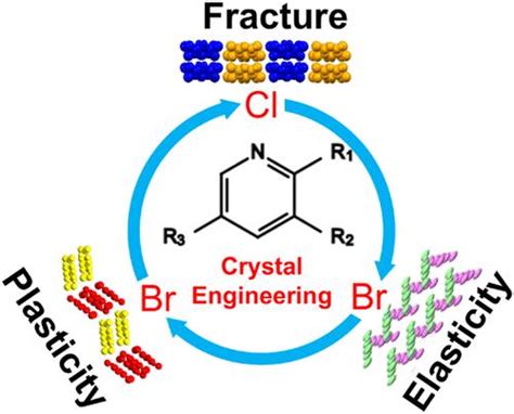 Modulating Elasticity And Plasticity Through Halogen Substitution