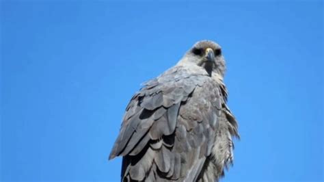 @pssyclownclown onlyfans leaked she’s 5-4 and 5 5 photos