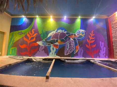 Natasha Koch - And so what do you think? This mural was... | Facebook