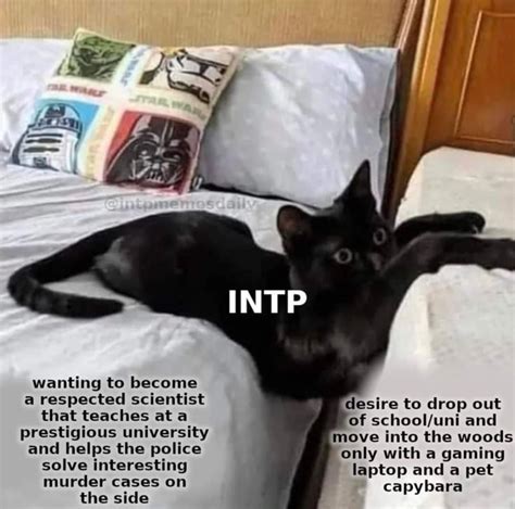 Pin De Paula Krasover En INTP Intj Tipos De Personalidad Intp