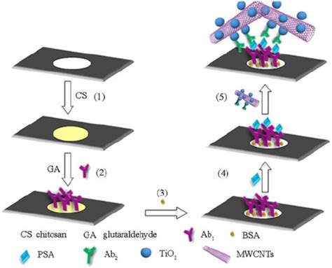 Developing point-of-need (PON) cancer biosensors using microfluidic ...
