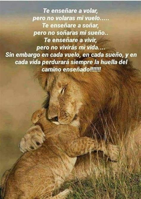 Frases De Amor Cortas Para Un Hijo Varon Mis Amores Frases Spanish