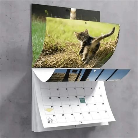 Calendrier 2025 des trous de chat Calendrier mural étrange et amusant