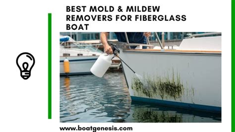 Best Mold And Mildew Removers For Fiberglass Boats Boat Genesis