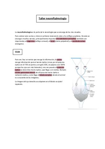 TIPO TEST FISIOTERAPIA Y REHABILITACION Pdf