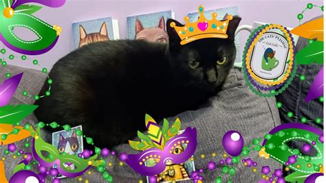 Mardi Paws Shoebox Float Contest, 524 E. Capitol Ave., Downtown