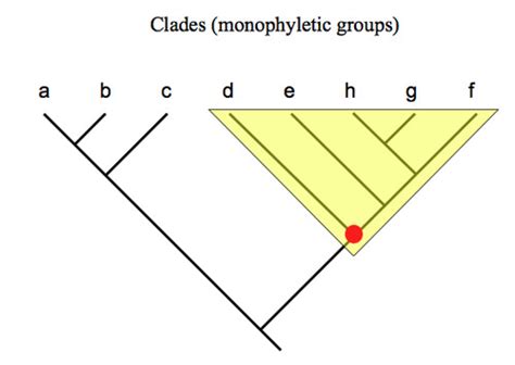 Bio Lab Exam Flashcards Quizlet