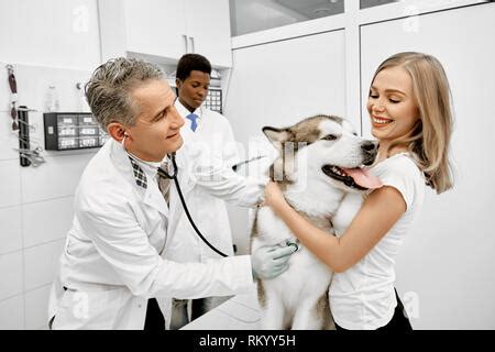 Smiling Male Doctor With Stethoscope Stock Photo Alamy