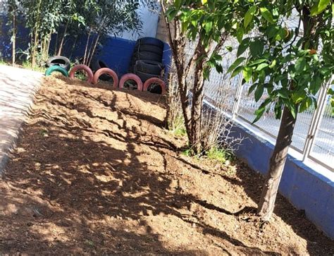 Ampa Piedra De La Torre Un Pilar Fundamental En Nuestro Huerto Escolar