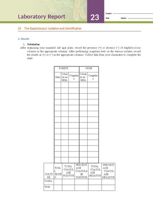 Hcc Review Lab Exam Hcc Review Lab Exam Essay Qs What Is