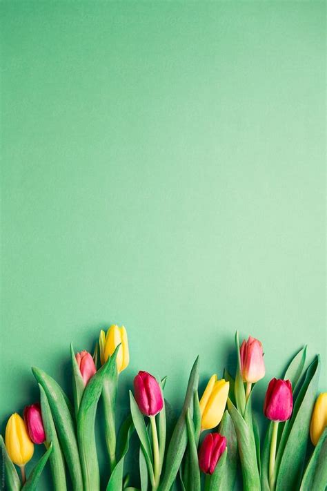 Pin By On Spring Wallpaper Flower Background