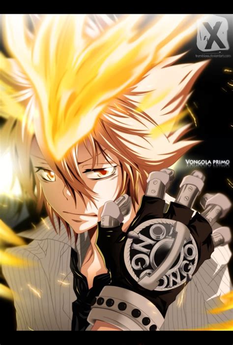 Vongola Primo Giotto Anime Hitman Reborn Reborn Katekyo Hitman