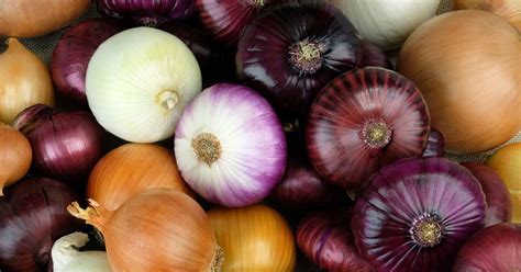 fda issues highest risk recall  vegetables heres  full list