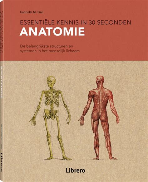 Anatomie Librero B V