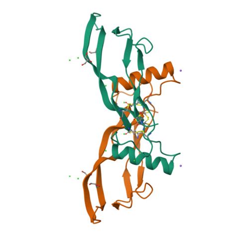 Rcsb Pdb Dpu Bmp G S Dimer In Acidic Ph