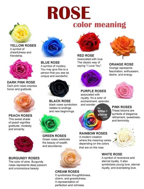 Pin By Debbie Deb On Gardening Plants Rose Color Meanings Color