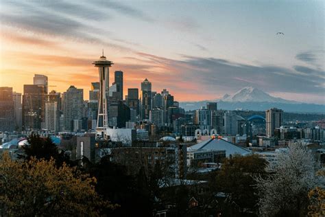 explore specialty coffee  seattle  brewatlas
