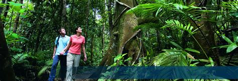 Mossman Gorge Daintree Experience CTIC