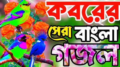 কবরর সর বল নতন গজল bangla notun gojol YouTube