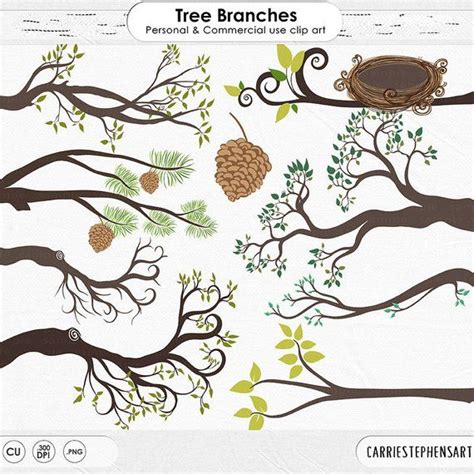 Tree Branch Clip Art Bird Nest Pine Cone Tree Clipart Tree