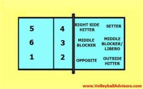 Volleyball Court And Player Positions