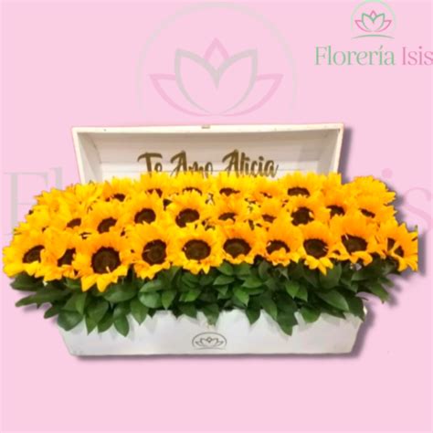 Cofre Con Girasoles Florer A Isis Envio De Flores A Domicilio