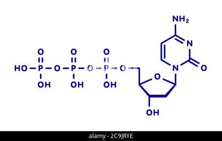 Deoxycytidine Triphosphate DCTP Nucleotide Molecule DNA Building