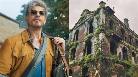 how many mills is a shot 6