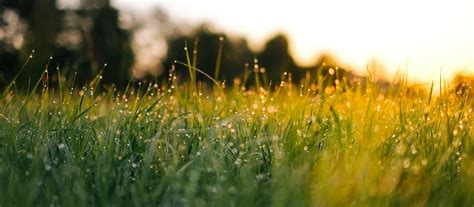 Protecting and Enhancing Our Environment – John Lewis Partnership 