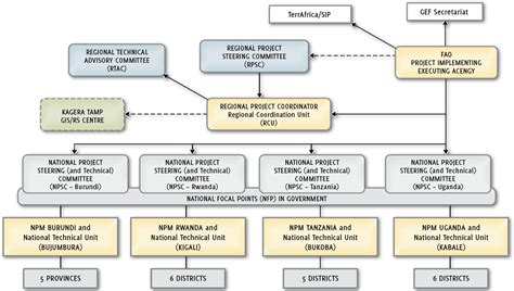 Organizational Chart Chart Organizational Template Business Functional