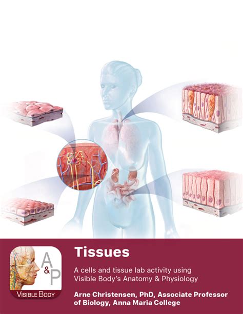 Lab Manual Tissues A P Practice Sheet For A P Pre Lab Exercises