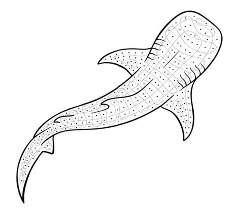 Whale Shark Line Art