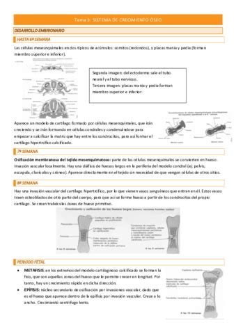 Examen Anatomia Funcional Pdf