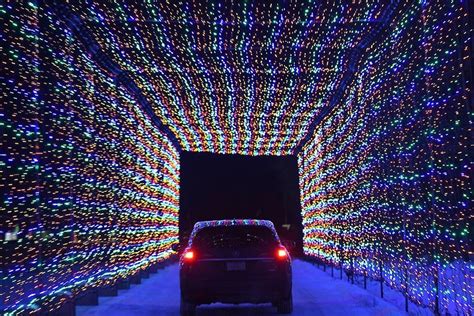 Drive Thru Christmas Lights Orlando Lila Everly