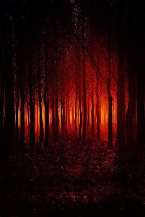 Pin By Giacomo On Kingdom Dark Red Wallpaper Red Aesthetic Scenery