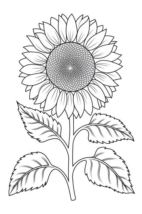 Free Sunflower Templates For Painting Crafts Flower Templates