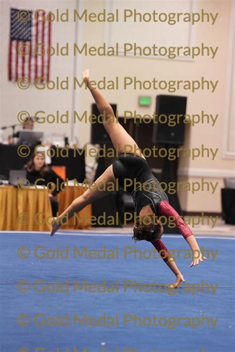 Winner S Gymnastics Gold Medal Photography